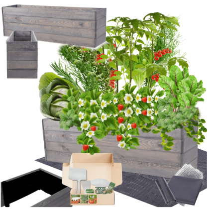 Grządka podwyższona warzywniak skrzynia inspekt donica impregnat 36x120x30