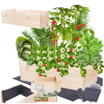 Podwyższona grządka warzywniak skrzynia inspekt donica impregnat 36x120x80