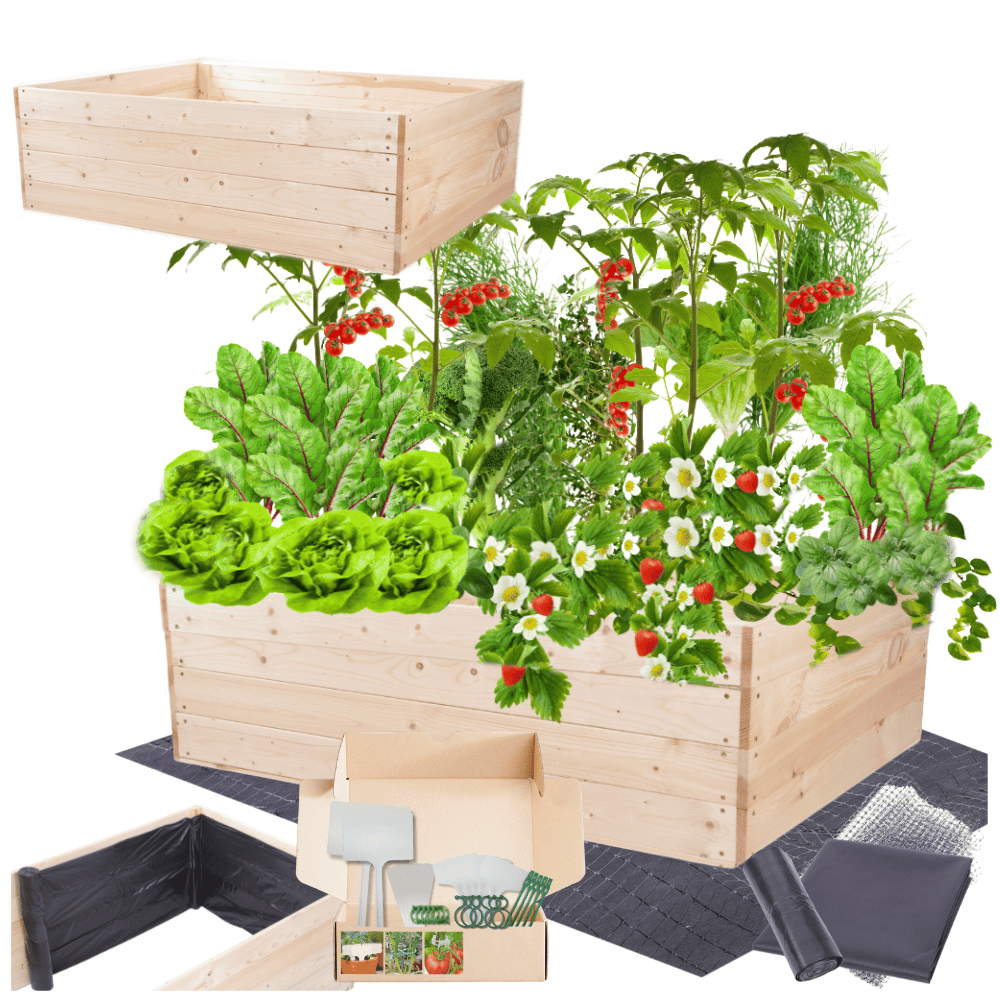 Podwyższona grządka warzywniak skrzynia inspekt donica impregnat 36x120x100