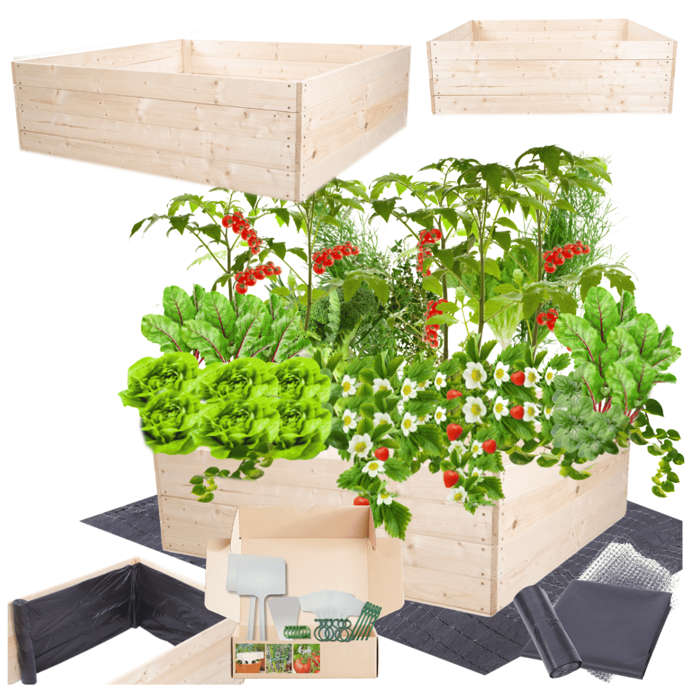 Podwyższona grządka warzywniak skrzynia inspekt donica impregnat 36x120x120