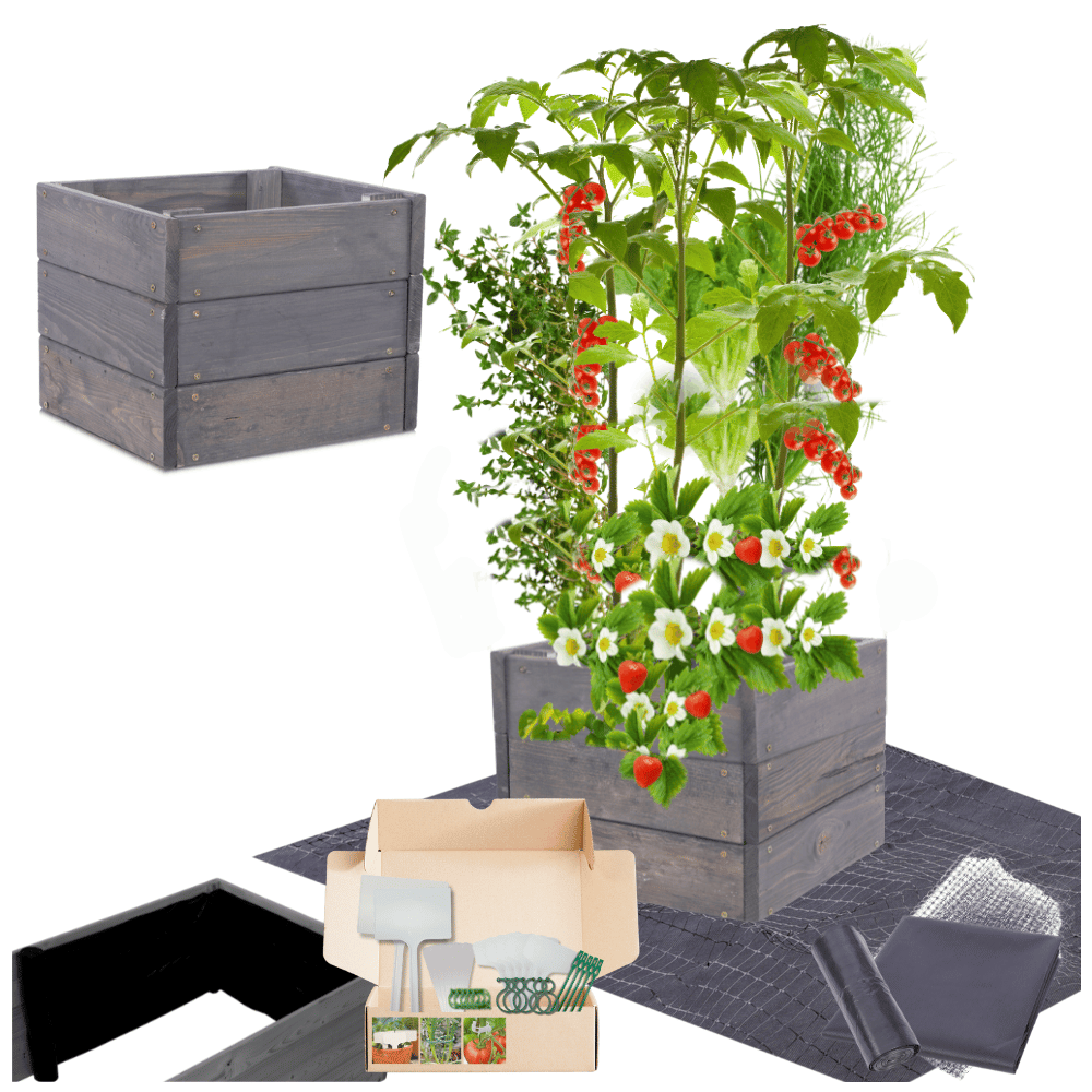 Skrzynie na warzywniak donica grządka podwyższona impregnat 27x30x30