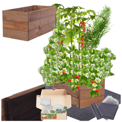 Warzywniak impregnat podwyższona grządka skrzynia inspekt donica 27x60x30