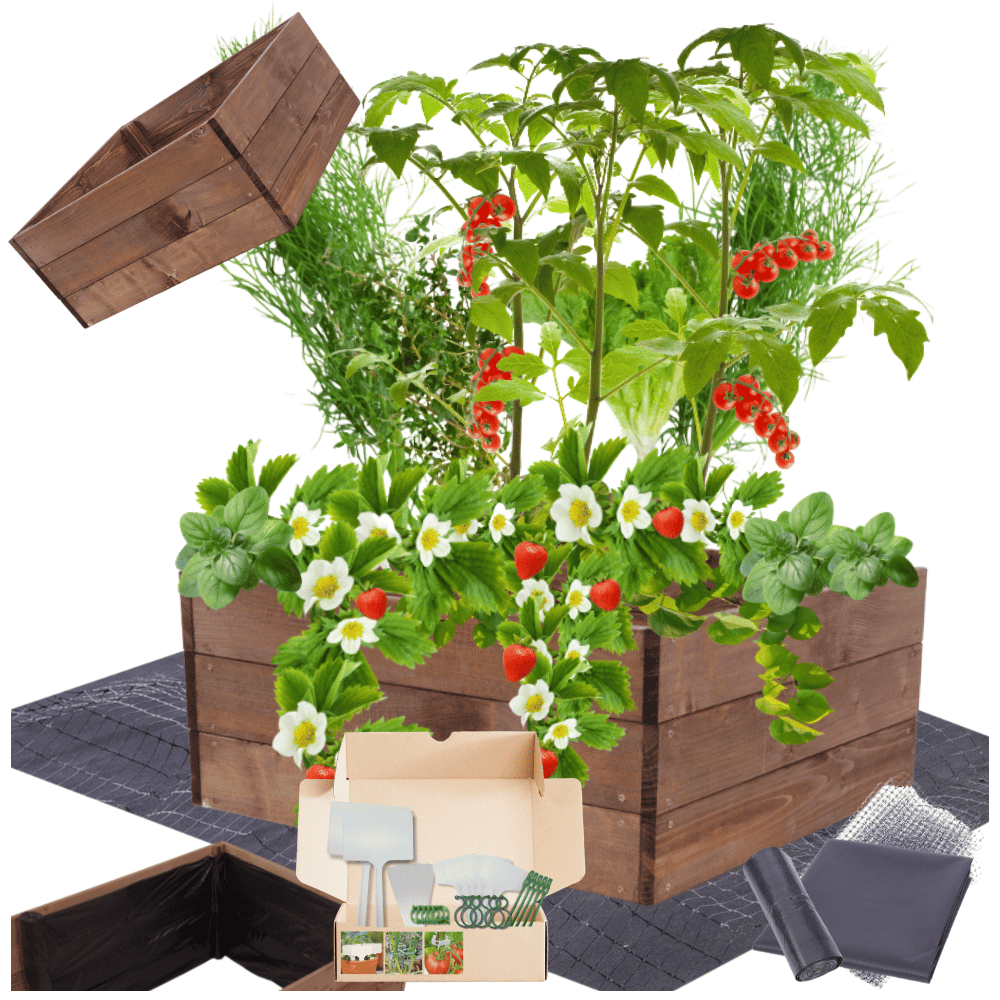 Grządka podwyższona impregnat warzywnik skrzynia inspekt donica 27x60x60