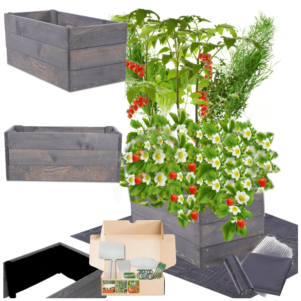 Podwyższona grządka impregnat skrzynie warzywniak inspekt donica 27x100x30