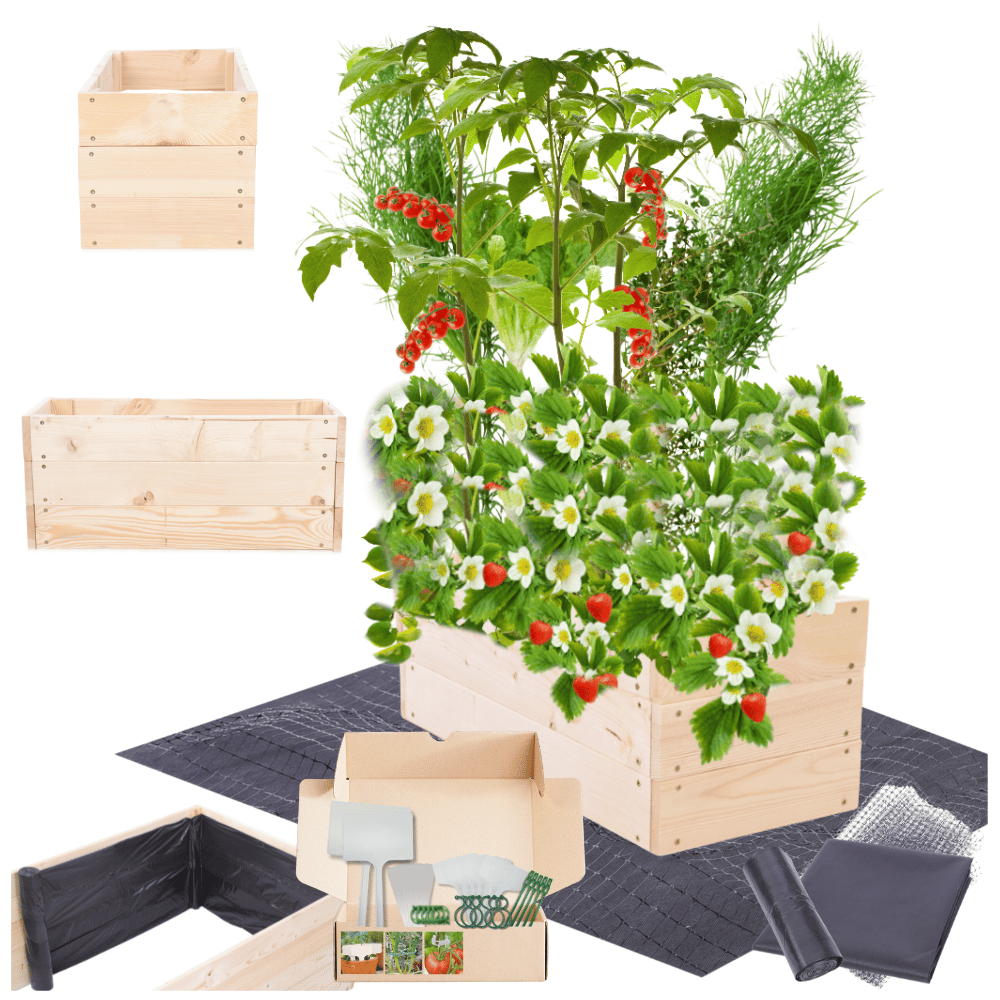 Grządka podwyższona drewniana skrzynia warzywniak inspekt donica 27x100x30