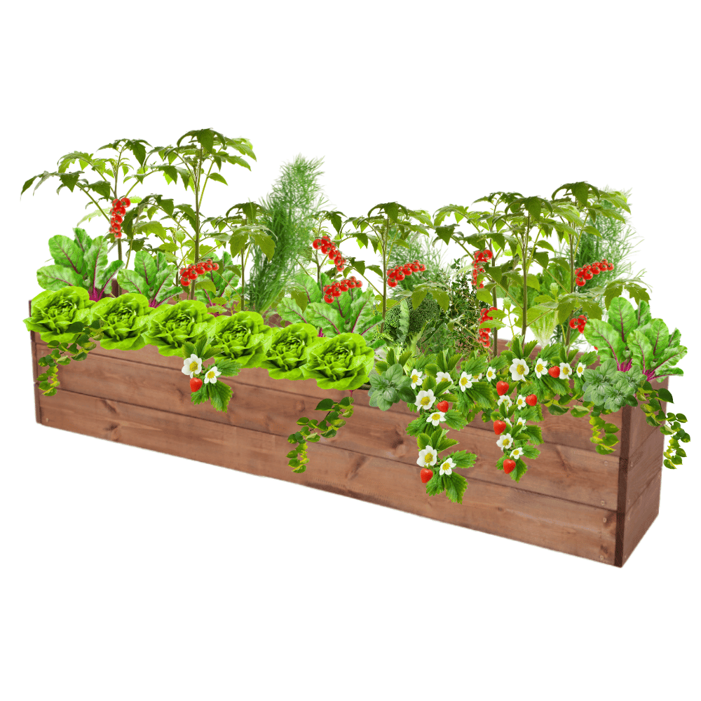 Skrzynie impregnat warzywniak inspekt donica grządka podwyższona 27x120x30