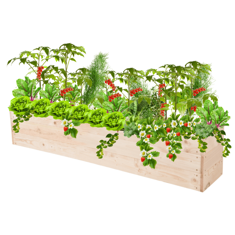 Grządka podwyższona drewniana skrzynia warzywniak inspekt donica 27x120x30