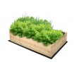 Podwyższona grządka impregnat skrzynia warzywniak zielnik donica 27x120x100