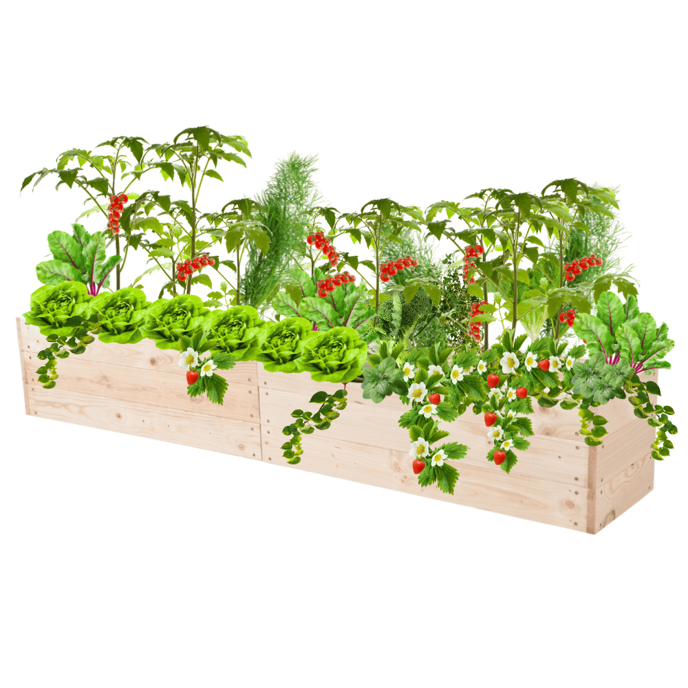 Podwyższona grządka donica drewniana warzywniak inspekt trejaż 27x160x30
