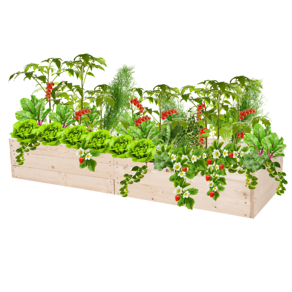 Grządka podwyższona donica drewniana warzywniak inspekt zielnik 27x160x60