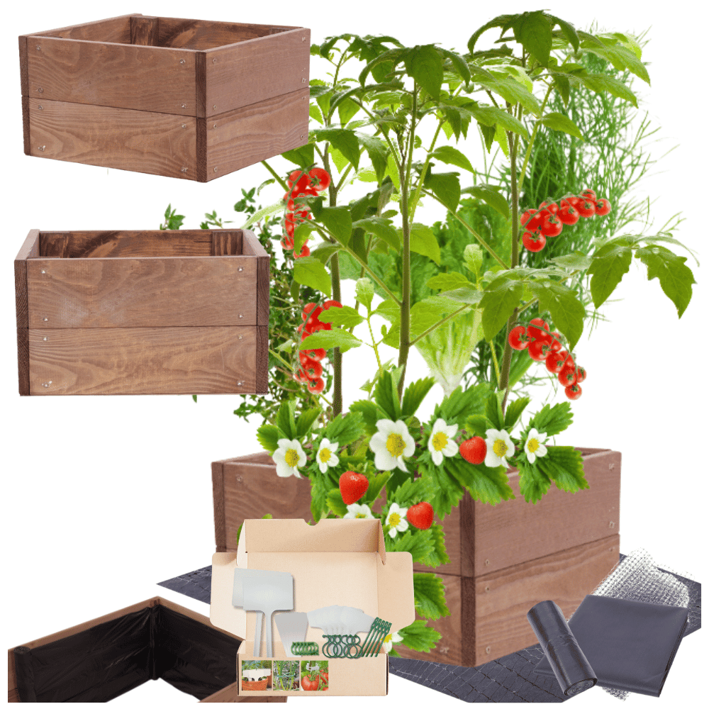 Skrzynia warzywniak impregnat inspekt donica grządka podwyższona 18x30x30