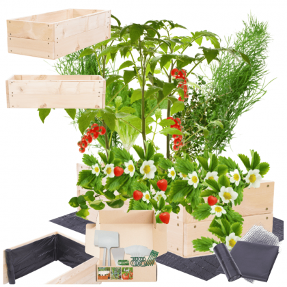 Inspekt skrzynia warzywnik impregnat donica grządka podwyższona 18x90x30