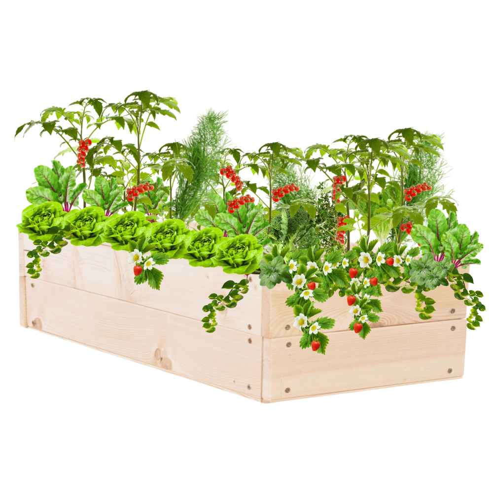 Podwyższona skrzynia warzywniak inspekt donica grządka 18x100x30