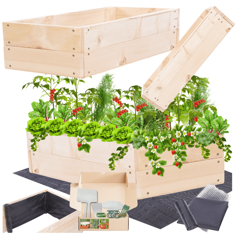 Podwyższona skrzynia warzywniak inspekt donica grządka 18x120x30