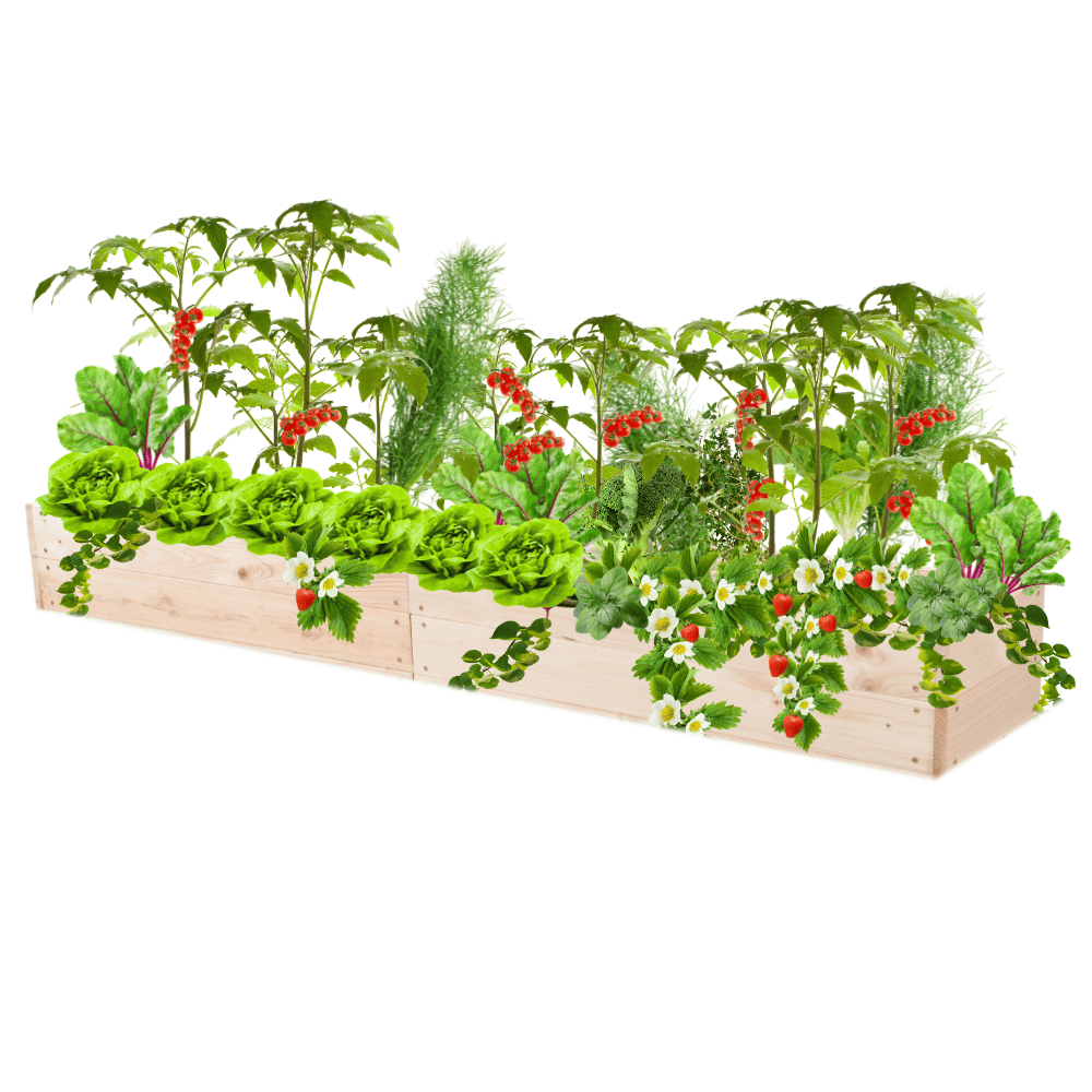 Warzywniak skrzynia inspekt donica grządka podwyższona impregnat 18x200x30