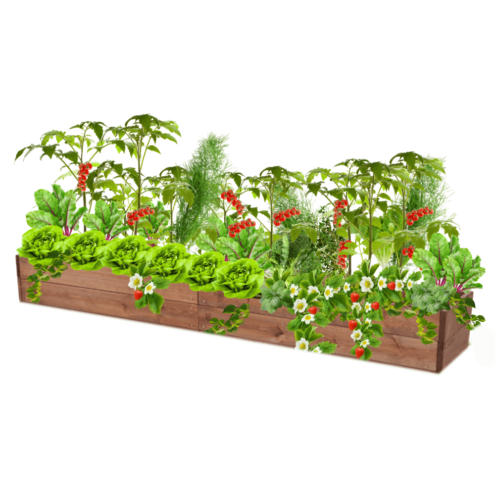 Podwyższona grządka impregnat skrzynia warzywniak inspekt donica 18x240x30