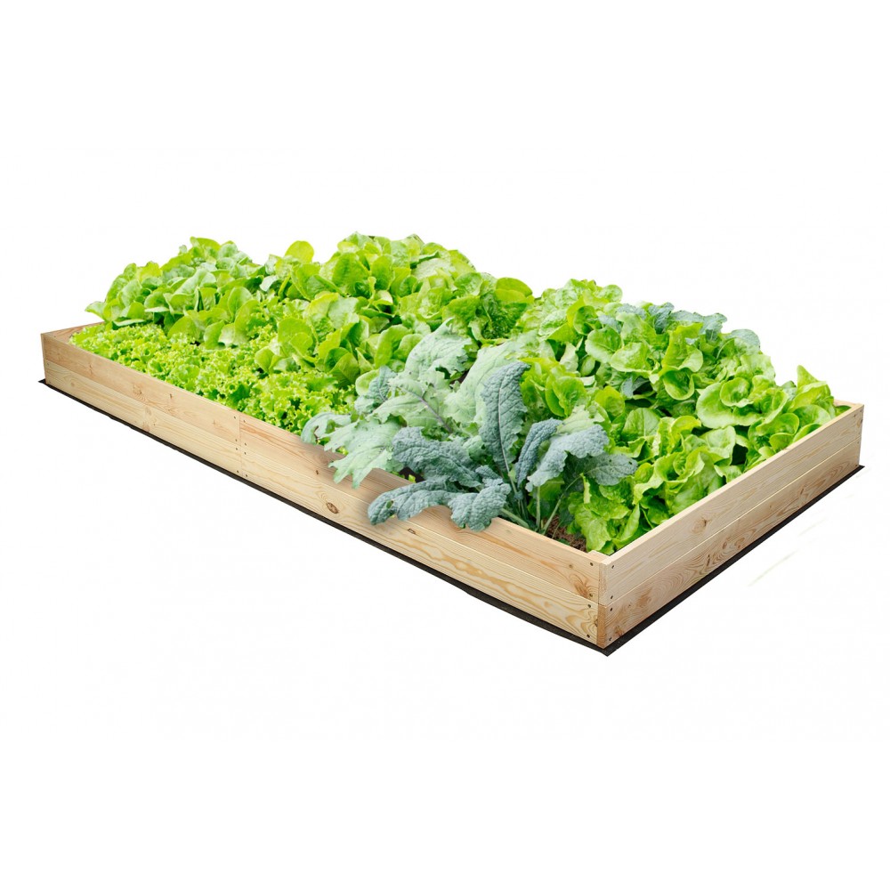 Inspekt skrzynia warzywniak donica grządka podwyższona impregnat 18x240x120