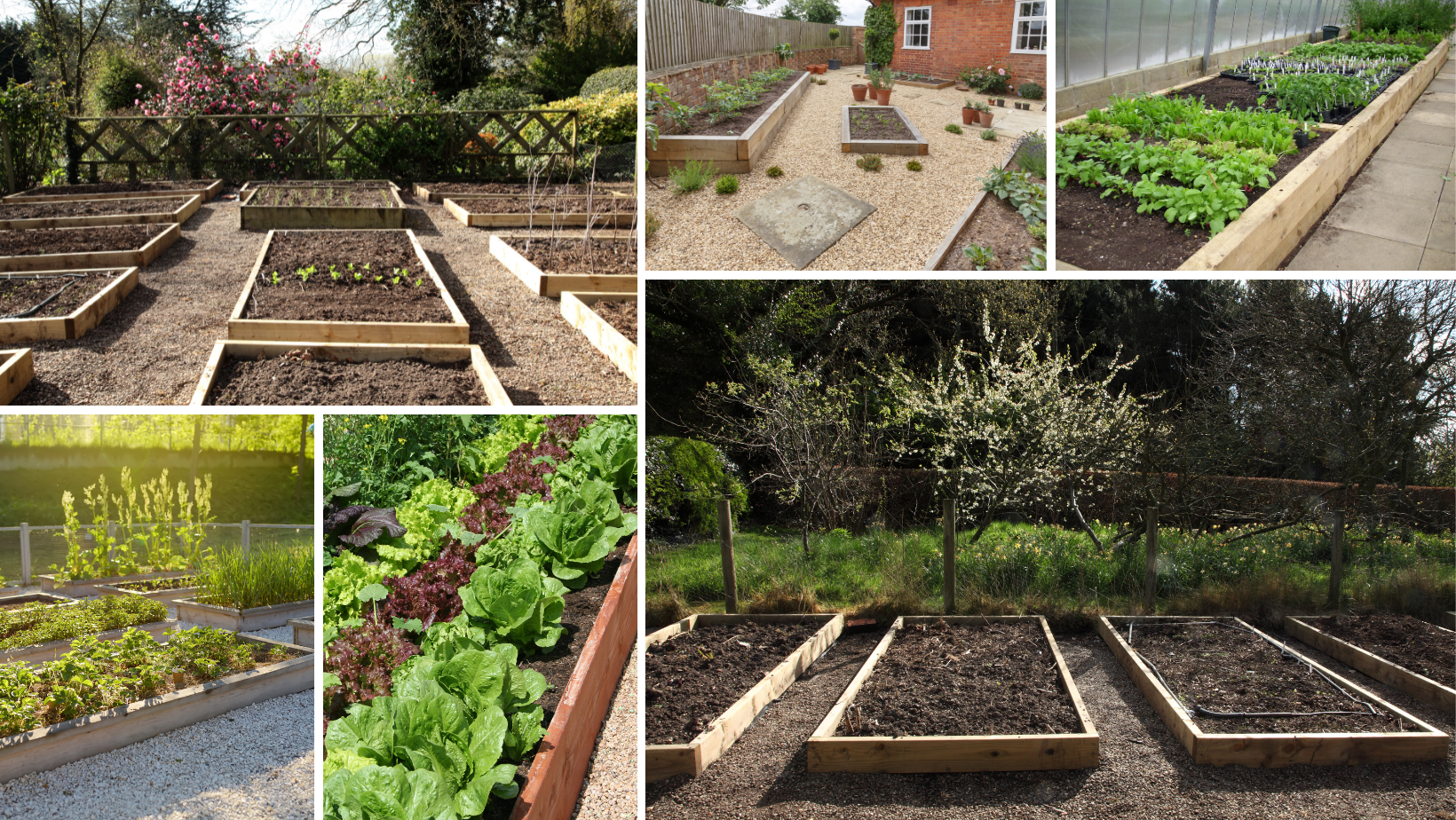 drewniane warzyniaki na działce, ilustracja poglądowa