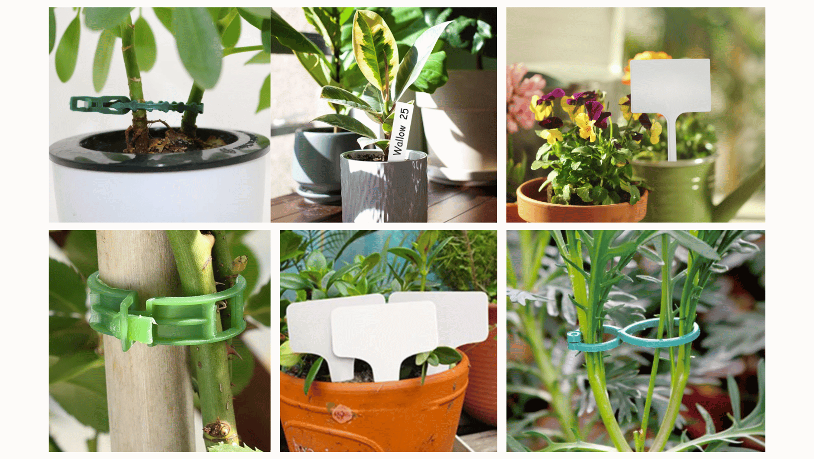 Zbliżenie uprawy roślin  w warzywniku ZP08