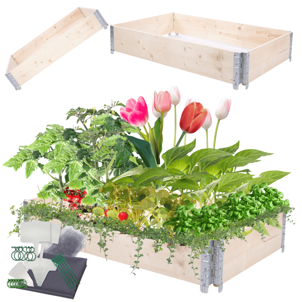 rośliny ozdobne w grządce z nadstawki paletowej